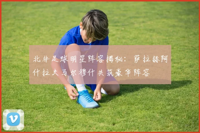 北非足球明星阵容揭秘：萨拉赫阿什拉夫马尔穆什共筑豪华阵容