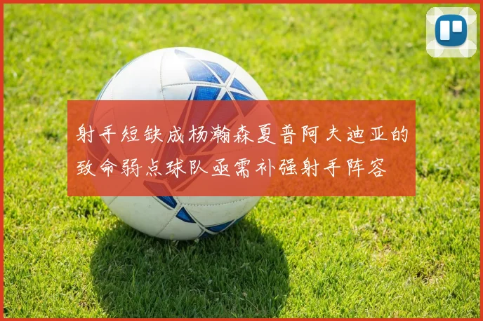 射手短缺成杨瀚森夏普阿夫迪亚的致命弱点球队亟需补强射手阵容