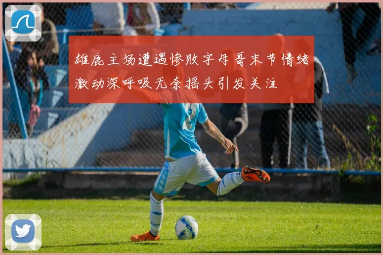 雄鹿主场遭遇惨败字母哥末节情绪激动深呼吸无奈摇头引发关注