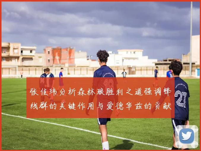张佳玮分析森林狼胜利之道强调锋线群的关键作用与爱德华兹的贡献