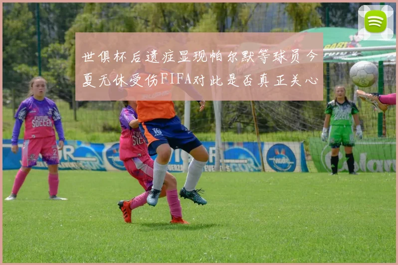 世俱杯后遗症显现帕尔默等球员今夏无休受伤FIFA对此是否真正关心