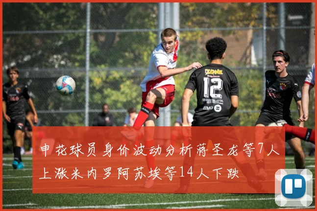申花球员身价波动分析蒋圣龙等7人上涨米内罗阿苏埃等14人下跌