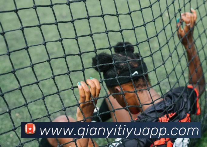 千亿体育发展历程